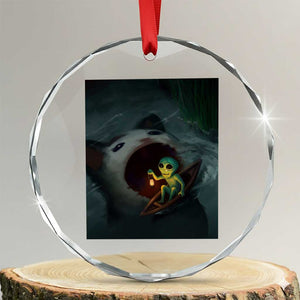 Funny Alien Cat Meme Crystal Glass Ornament Weird Silly TS10 Transparent Glass 3'' Circle Print Your Wear