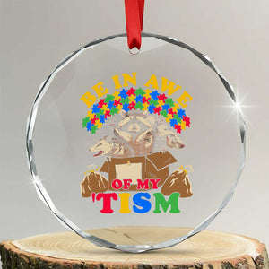 Funny Autism Awareness Crystal Glass Ornament Be In Awe Of My 'Tism Autistic Raccoon Opossum Skunk TS11 Transparent Glass 3'' Circle Print Your Wear