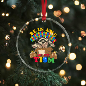 Funny Autism Awareness Crystal Glass Ornament Be In Awe Of My 'Tism Autistic Raccoon Opossum Skunk TS11 Print Your Wear