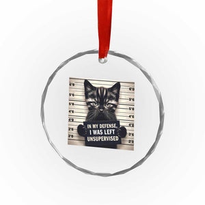 Funny Bad Cat Attitude Crystal Glass Ornament In My Defense I Was Left Unsupervised TS12 Print Your Wear