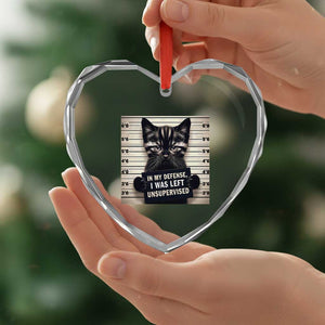 Funny Bad Cat Attitude Heart Crystal Glass Ornament In My Defense I Was Left Unsupervised TS12 Print Your Wear
