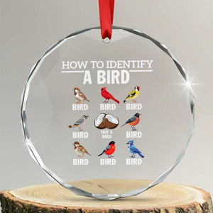 Funny Bird Watching Crystal Glass Ornament How To Identify A Bird TS02 Transparent Glass 3'' Circle Print Your Wear