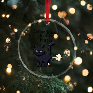 Funny Black Cat Bathroom Humor Crystal Glass Ornament Sometimes I Just Be Fartin TS12 Print Your Wear