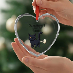 Funny Black Cat Bathroom Humor Heart Crystal Glass Ornament Sometimes I Just Be Fartin TS12 Print Your Wear