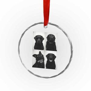 Funny Black Lab Crystal Glass Ornament Photobooth Selfie Dog Mom Gift TS12 Print Your Wear