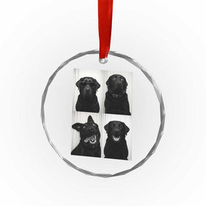 Funny Black Lab Crystal Glass Ornament Photobooth Selfie Dog Mom Gift TS12 Print Your Wear
