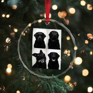 Funny Black Lab Crystal Glass Ornament Photobooth Selfie Dog Mom Gift TS12 Print Your Wear