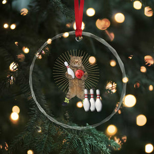 Funny Cat Bowling Meme Crystal Glass Ornament Gift For Bowlers TS12 Print Your Wear
