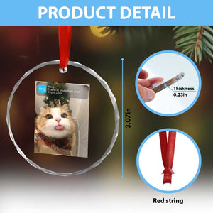 Funny Cat Christmas Crystal Glass Ornament Ring There is Motion at Your Front Door Meme Xmas Tree TS10 Print Your Wear