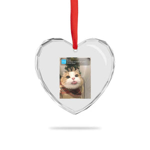 Funny Cat Christmas Heart Crystal Glass Ornament Ring There is Motion at Your Front Door Meme Xmas Tree TS10 Print Your Wear