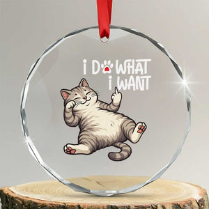 Funny Cat Crystal Glass Ornament I Do What I Want TS12 Transparent Glass 3'' Circle Print Your Wear