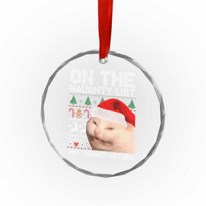 Funny Cat Crystal Glass Ornament On The Naughty List And I Regret Nothing Meme Ugly Xmas TS10 Print Your Wear