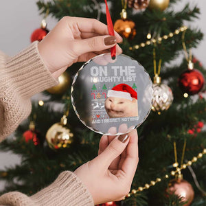 Funny Cat Crystal Glass Ornament On The Naughty List And I Regret Nothing Meme Ugly Xmas TS10 Print Your Wear