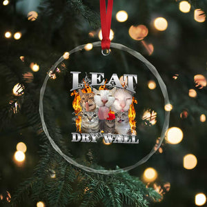 Funny Cat Meme Bootleg Graphic Crystal Glass Ornament I Eat Drywall Funny Weird Cursed Internet Memes TS10 Print Your Wear