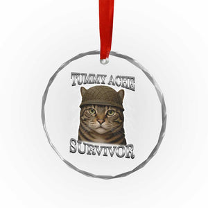 Funny Cat Meme Humor Crystal Glass Ornament Tummy Ache Survivor Lightning Cats Parody TS02 Print Your Wear