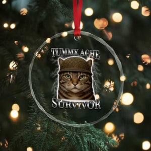 Funny Cat Meme Humor Crystal Glass Ornament Tummy Ache Survivor Lightning Cats Parody TS02 Print Your Wear