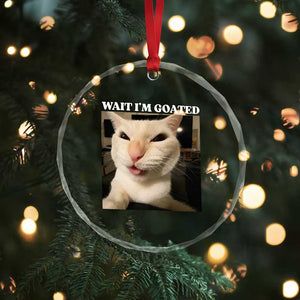 Funny Cat Meme Lover Crystal Glass Ornament