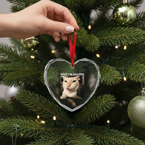 Funny Cat Meme Lover Heart Crystal Glass Ornament TS12 Print Your Wear