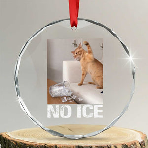 Funny Cat Meme No Ice Crystal Glass Ornament Subtle FDT Political Satire Satirical Humor TS10 Transparent Glass 3'' Circle Print Your Wear