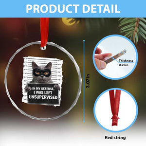 Funny Cat Mugshot Crystal Glass Ornament In My Defense I Was Left Unsupervised TS12 Print Your Wear