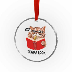 Funny Cat Reading Crystal Glass Ornament Book Lover TS14 Print Your Wear