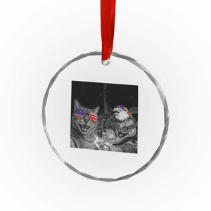 Funny Cat Selfie 4th of July Crystal Glass Ornament Patriotic Eagle American Flag Gift TS14 Print Your Wear