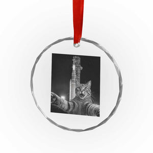 Funny Cat Selfie Lunar Mission 2026 Crystal Glass Ornament TS14 Print Your Wear