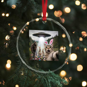 Funny Cat Selfie with Easter Bunny Bigfoot UFO Crystal Glass Ornament TS11 Print Your Wear
