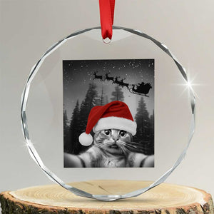 Funny Cat Selfie With Santas Sleigh Christmas Crystal Glass Ornament TS11 Transparent Glass 3'' Circle Print Your Wear