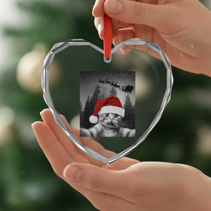 Funny Cat Selfie With Santas Sleigh Christmas Heart Crystal Glass Ornament TS11 Print Your Wear