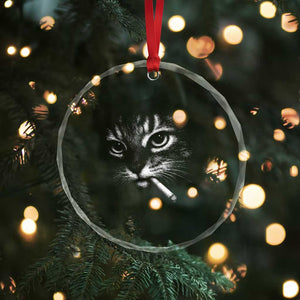 Funny Cat Smoking Cigarette Meme Crystal Glass Ornament Cat Face Y2K Graphic TS11 Print Your Wear