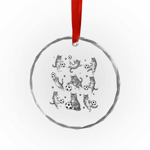 Funny Cat Soccer Player Crystal Glass Ornament Gift For Soccer Lovers TS12 Print Your Wear