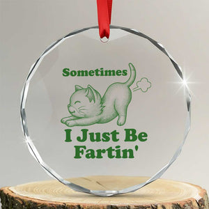 Funny Cat Sometimes I Just Be Fartin Crystal Glass Ornament Pet Lover TS12 Transparent Glass 3'' Circle Print Your Wear
