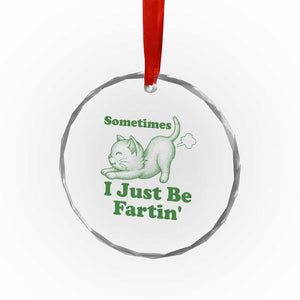 Funny Cat Sometimes I Just Be Fartin Crystal Glass Ornament Pet Lover TS12 Print Your Wear