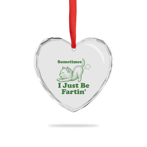 Funny Cat Sometimes I Just Be Fartin Heart Crystal Glass Ornament Pet Lover TS12 Print Your Wear