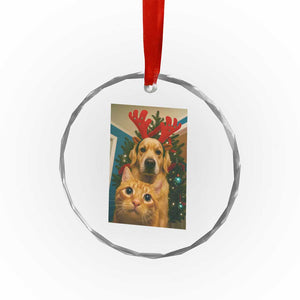 Funny Cat With Dog Selfie Christmas Crystal Glass Ornament Pet Lover Xmas Gift TS14 Print Your Wear