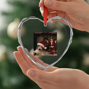 Funny Cat With Santa Selfie Christmas Heart Crystal Glass Ornament TS14 Print Your Wear