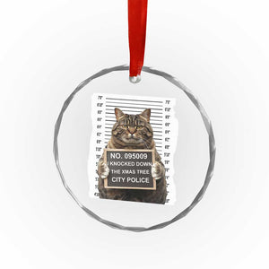 Funny Cat Xmas Crystal Glass Ornament Mugshot I Knocked Down The Xmas Tree TS10 Print Your Wear