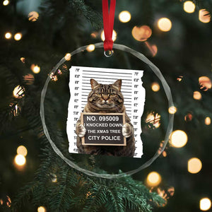 Funny Cat Xmas Crystal Glass Ornament Mugshot I Knocked Down The Xmas Tree TS10 Print Your Wear