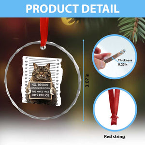 Funny Cat Xmas Crystal Glass Ornament Mugshot I Knocked Down The Xmas Tree TS10 Print Your Wear