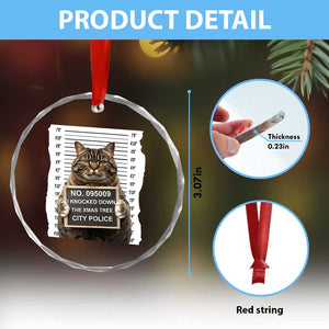 Funny Cat Xmas Crystal Glass Ornament Mugshot I Knocked Down The Xmas Tree TS10 Print Your Wear