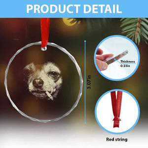 Funny Chihuahua Smoking Cigarette Meme Crystal Glass Ornament Gritty Ironic Dog Graphic for Dark Humor Lovers TS02 Print Your Wear