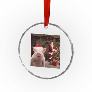 Funny Christmas Pig Selfie With Santa Gift Crystal Glass Ornament TS12 Print Your Wear