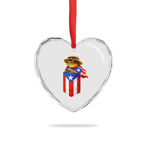 Funny Coqui Frog Puerto Rico Flag Heart Crystal Glass Ornament Puerto Rican Taino Buricua Borinquen TS10 Print Your Wear