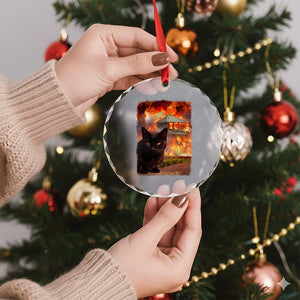 Funny Crazy Cat Selfie Crystal Glass Ornament Bad Kitty Chaos Humor Graphic TS12 Print Your Wear