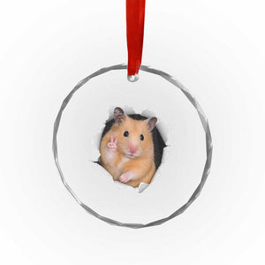 Funny Curious Hamster Peeking Through A Cracked Wall Meme Crystal Glass Ornament TS12 Print Your Wear