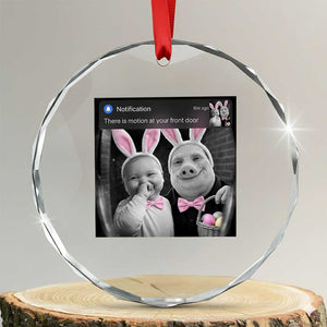 Funny Easter AI Baby with John Pork Meme Crystal Glass Ornament There Is Motion at Your Front Door Notification Humor TS02 Transparent Glass 3'' Circle Print Your Wear