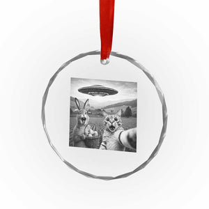 Funny Easter Crystal Glass Ornament Christian Cat Selfie Bunny Meme TS14 Print Your Wear