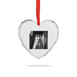 Funny Ghost Cat Halloween Meme Heart Crystal Glass Ornament TS14 Print Your Wear