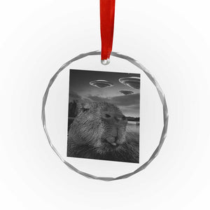 Funny Graphic Capybara Selfie with UFOs Weird Crystal Glass Ornament TS10 Print Your Wear